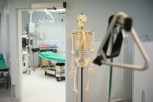 Specialistai paneigia mitus apie vėžį: daug ką vis dar suprantame klaidingai