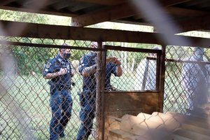 Kėdainių r. nelegaliu gyvūnų veisimu įtariamas vyras svaidėsi kirviu: pradėtas tyrimas dėl pasipriešinimo pareigūnams