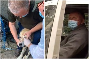 Nelegalios veisyklos Širvintose savininkas jau buvo baustas: aptikę šunų lavonus žada griežčiausias sankcijas