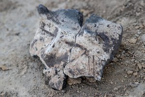 Lietuvos kaimynystėje – keistas ir baugiai atrodantis radinys