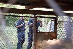 Policija pradėjo penkis ikiteisminius tyrimus dėl žiauraus elgesio su gyvūnais