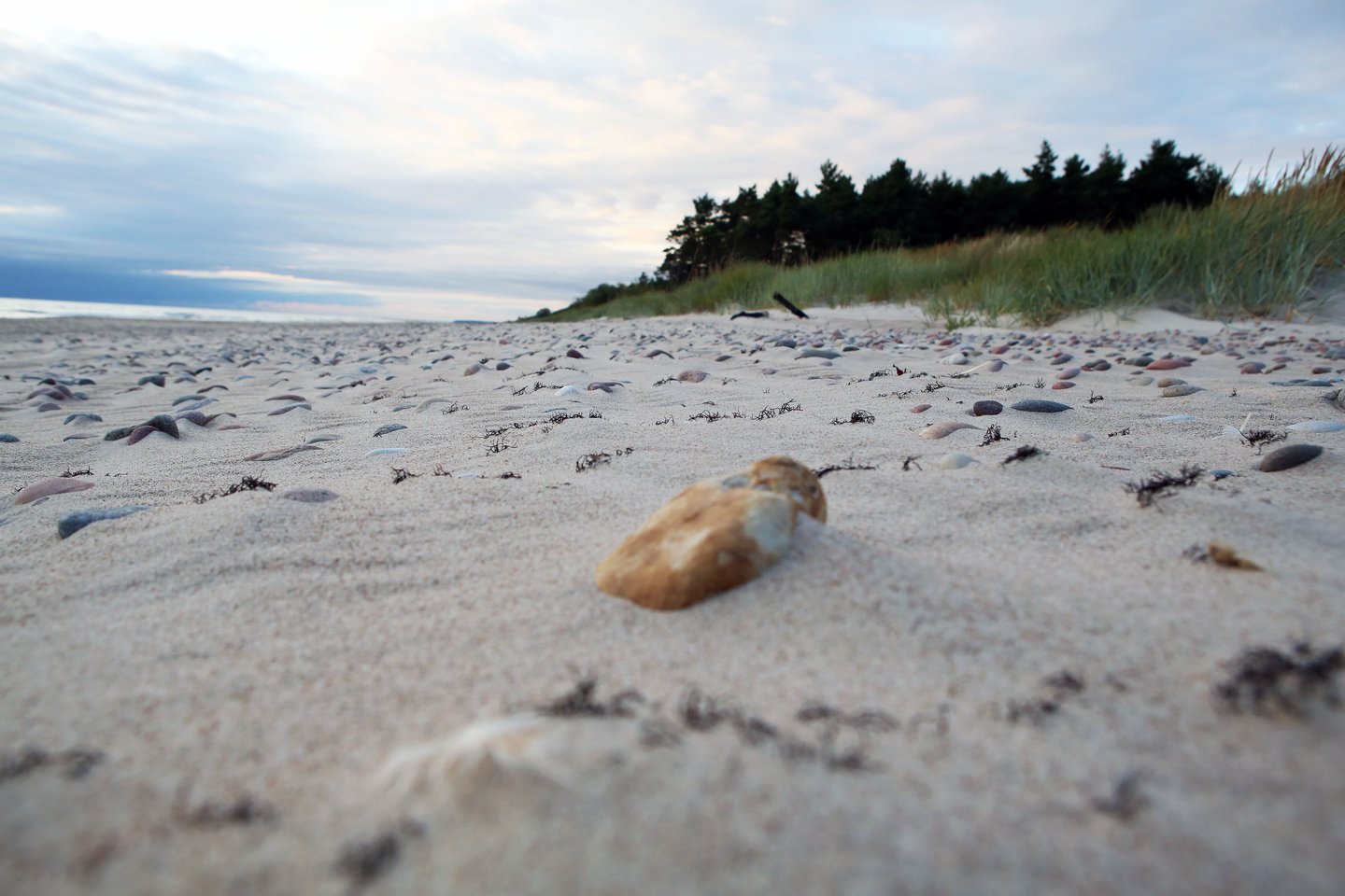 Už smėlio iš salos paplūdimių išgabenimą baudos svyruoja nuo 500 eurų iki 3 tūkst. eurų.<br>M.Patašiaus asociatyvi nuotr.