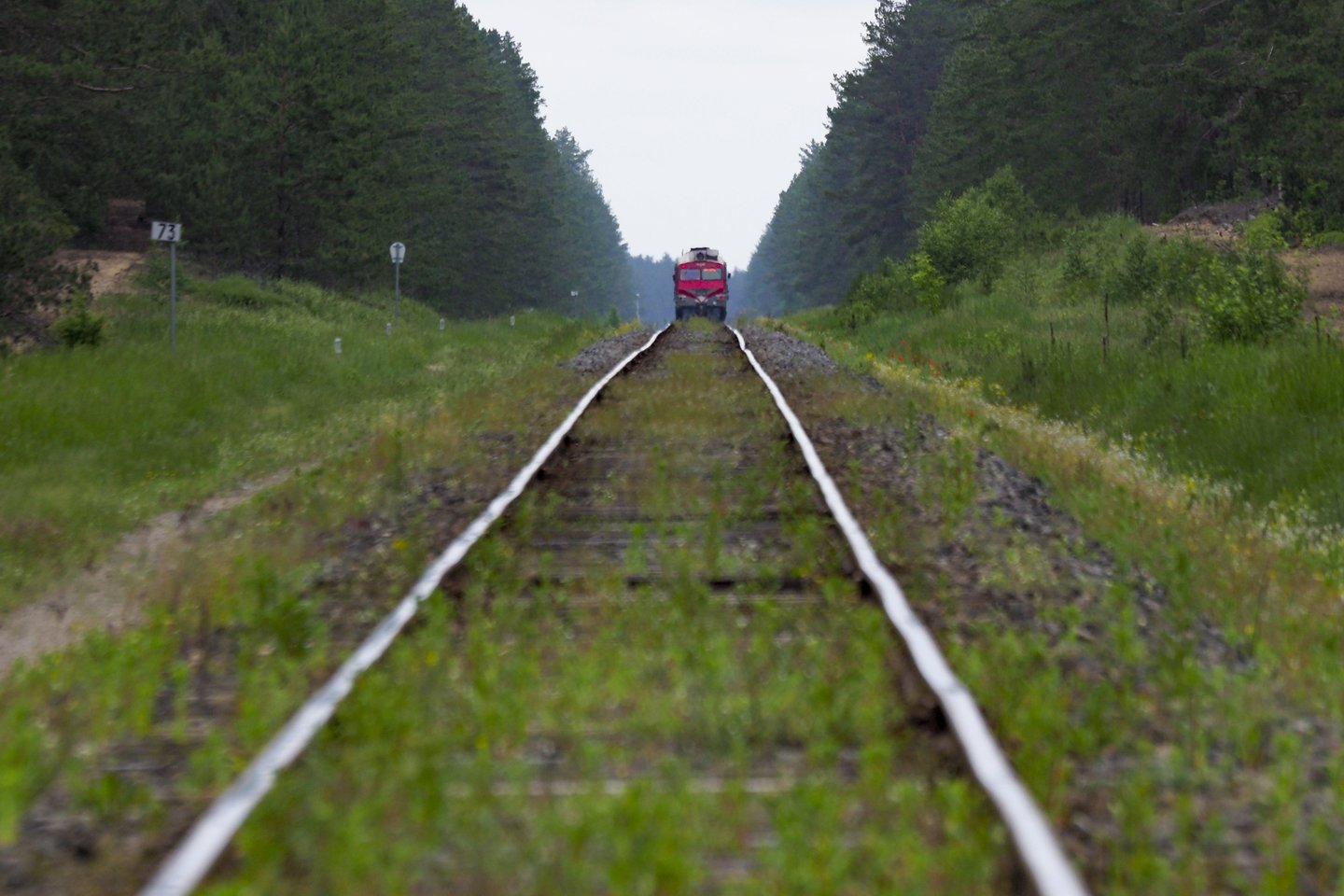 Iš Vilniaus į Kauną vaikinas nutarė keliauti per geležinkelio bėgius.<br>V.Ščiavinsko nuotr.