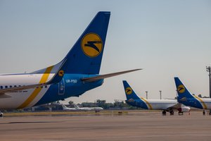 Nufilmavo iš Turkijos su šeima skridusios moters lėktuve sukeltą incidentą