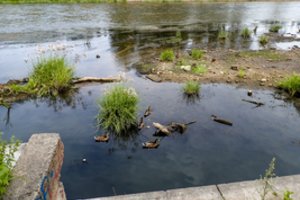 Hidrologai perspėja: Lietuvos upėse fiksuojami pavojingi reiškiniai