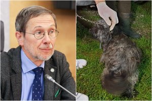 Pasipylus siaubingiems vaizdams iš veisyklų – L. Mažylio įspėjimas: Lietuva nesuvokia problemos masto