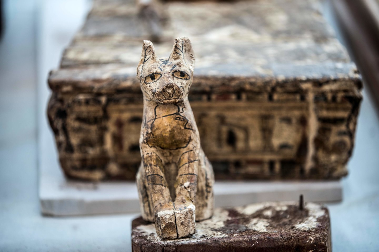  Kai kurie mokslininkai mano, kad senovės egiptiečiai iš tiesų negarbino kačių. Vietoje to, gyvūnai buvo gaudomi ir veisiami, kad galėtų būti mumifikuojami ir parduodami garbintojams.<br> AFP / Scanpix nuotr.