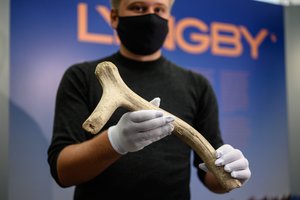 Atveriama paroda, skirta seniausiam lietuviškam archeologiniam radiniui