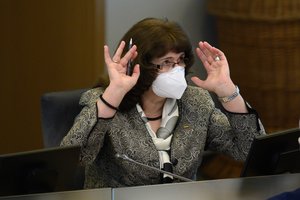 R. Baškienė apie prasidedančią sesiją: išeinantis Seimas dirbs iki lapkričio vidurio