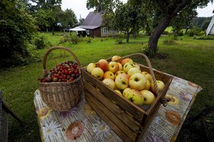 Savaitgalį lietuviai žada užgulti sulčių spaudyklas: ką ir už kiek galima išsispausti