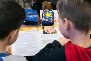 Patyrusio mokytojo balsas: tautinė mokykla patyrė krachą – štai kodėl