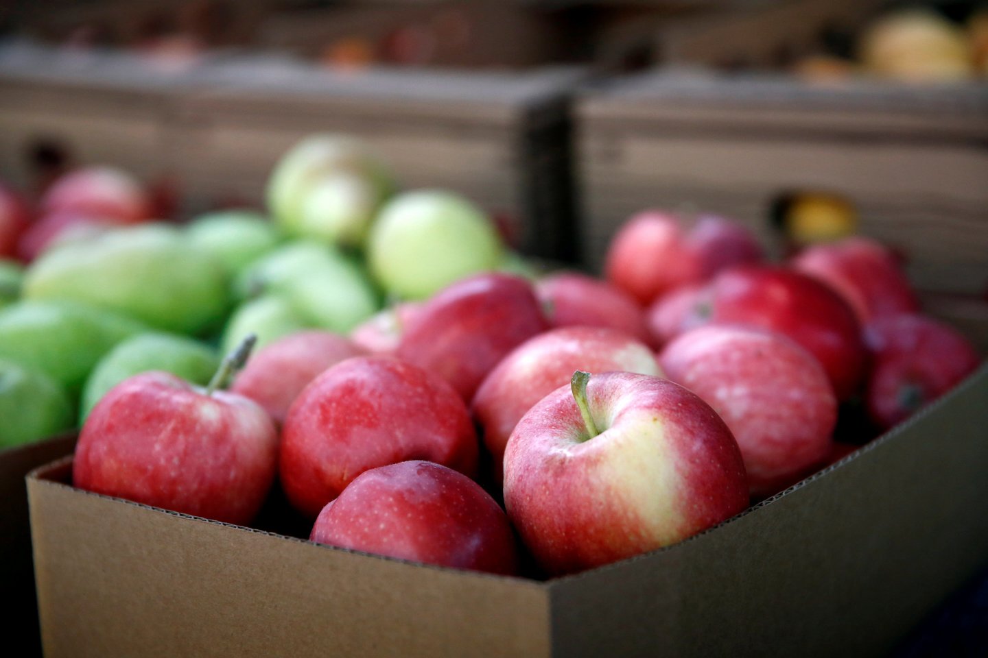 Ar išties parduotuvėse įsigytų vaisių ir daržovių kokybė prastesnė, o chemikalų kiekis – didesnis?<br>123rf nuotr.