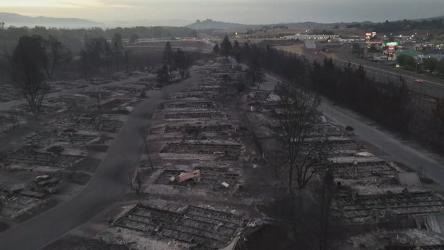 Miškų gaisrų siaubas: ugnis pražudė dešimtis, bet prognozuoja dar daugiau aukų
