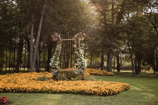 Pakruojo dvare iškilo 15 unikalių vestuvinių arkų: kviečia grožėtis ir įsiamžinti