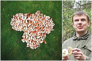 Mikologas išdavė, per kokią Mėnulio fazę geriausia grybauti ir kada visi grybai tampa nuodingi