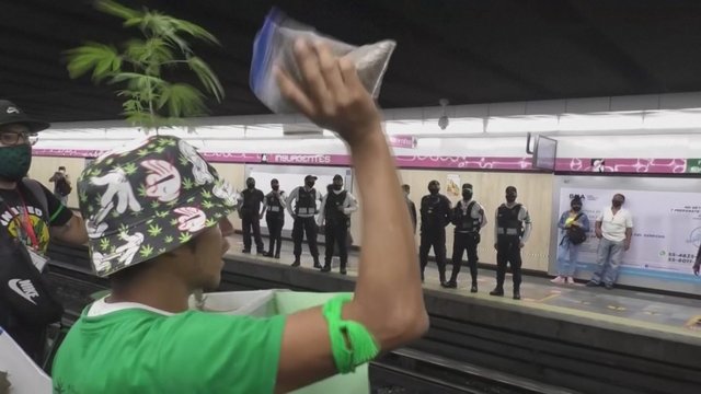 Šurmulys Meksike: kanapių aktyvistai protestavo nešini marihuanos augalais