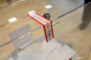 Balsuoti Seimo rinkimuose registravosi per 20 tūkst. užsienyje gyvenančių piliečių