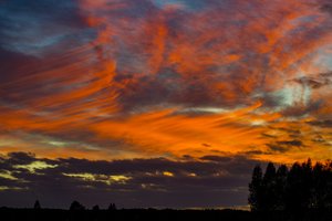 Pamatyti ypatingą reginį kartą per metus Lietuvoje plūsta būriai smalsuolių
