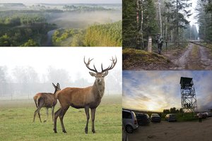 Manėte, kad skersai išilgai išmaišėte Lietuvą? Šiose vietose tikriausiai net nebuvote