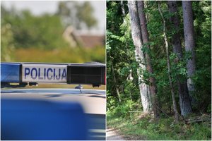 Už kraupios žmogžudystės – dar baisesnės detalės: motiną pasmerkė jos pačios duktė