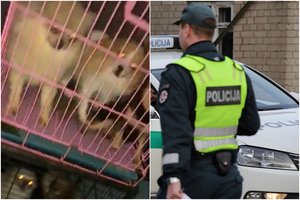 Po „šunų pragaro“ Kauno r. aptiko vietą, kur netinkamai prižiūrimi ir kiti gyvūnai