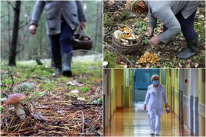 Po grybavimo vajaus – žygiai į ligonines: apsinuodijusių skaičius privertė priminti grėsmes
