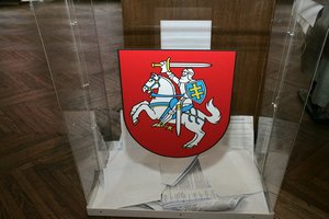 Vyriausybė Seimo rinkimams organizuoti papildomai skyrė 3,9 mln. eurų