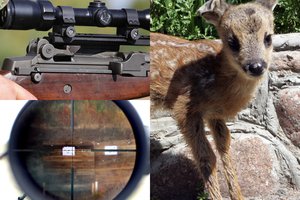 Panevėžio r. pričiupo brakonierius: už nušautą stirnos jauniklį – 3500 eurų ir konfiskuotas visureigis