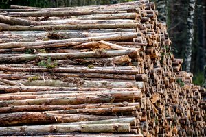 Pigesnei baltarusiškai žaliavai toliau spaudžiant biokuro gamintojus, Energetikos ministerija siūlo keisti įstatymus