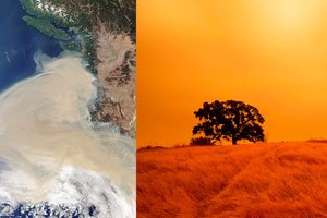 JAV gaisrų dūmai pasiekė Europą – jau matomi iš palydovo