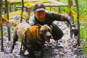 Išskirtinė galimybė išvysti keturkojus herojus: Gilzė, Bornas ir Kaira parodys, kuo svarbūs Lietuvai