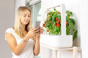 Nuo maisto dienoraščių iki daržo bute: kaip išmaniosios technologijos gali padėti maitintis sveikiau? 