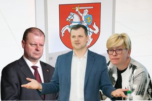 Partijų reitingai: kol valstiečiai ir TS-LKD dalijasi lyderio pozicijas, socialdemokratų palaikymas auga
