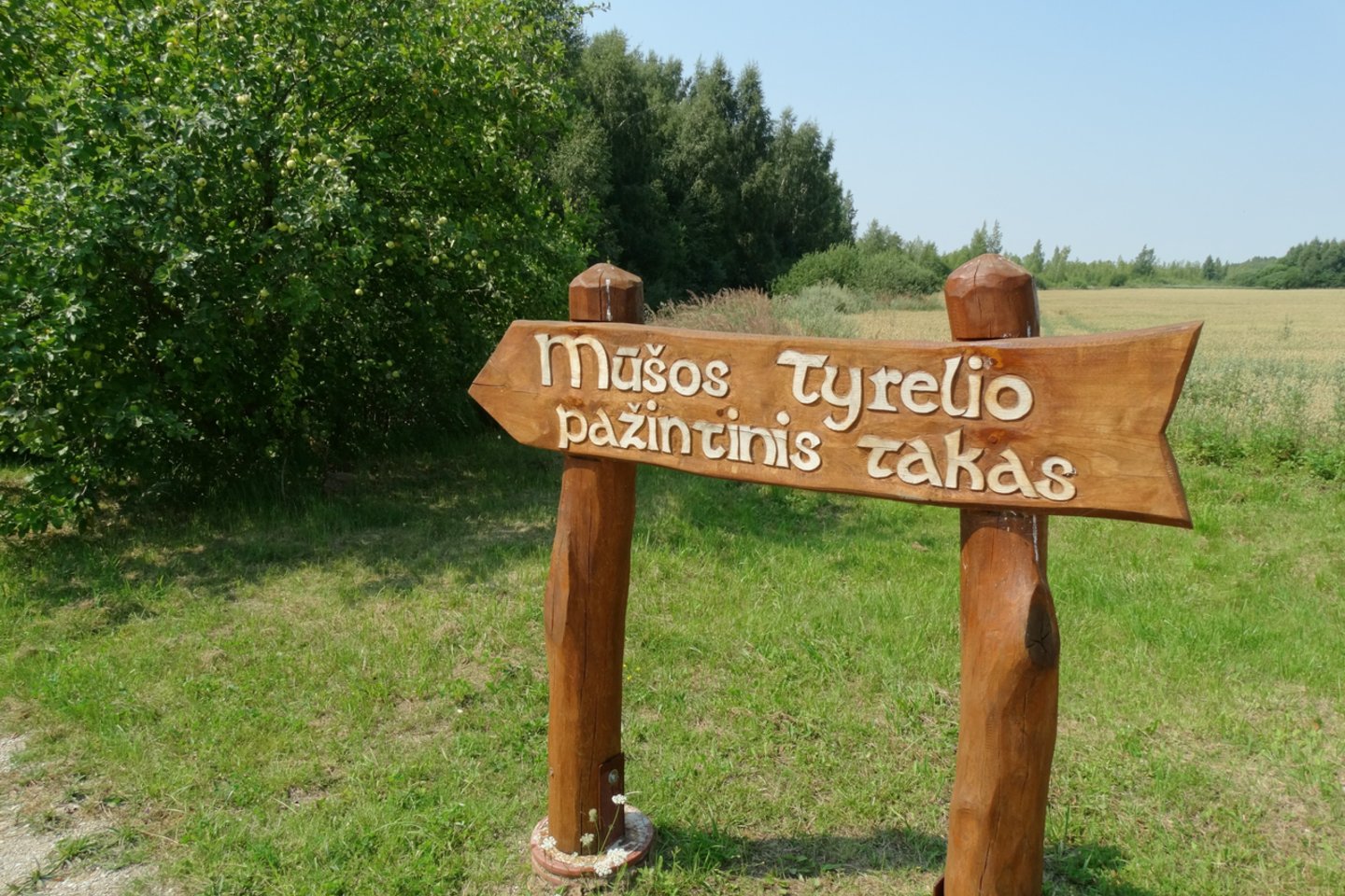Mūšos tyrelio pažintinis takas – ilgiausias Lietuvoje lentų takas per pelkę.