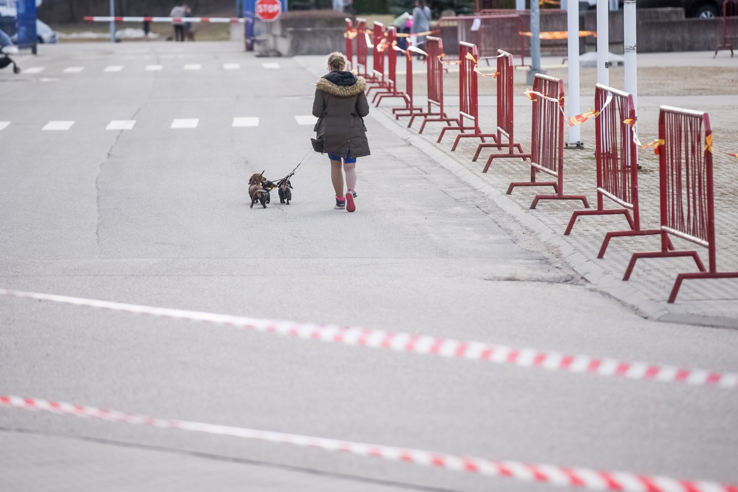 Specialistai augintinį ragina rinktis atsakingai: kaina negali būti lemiantis faktorius.<br>D.Umbraso nuotr.