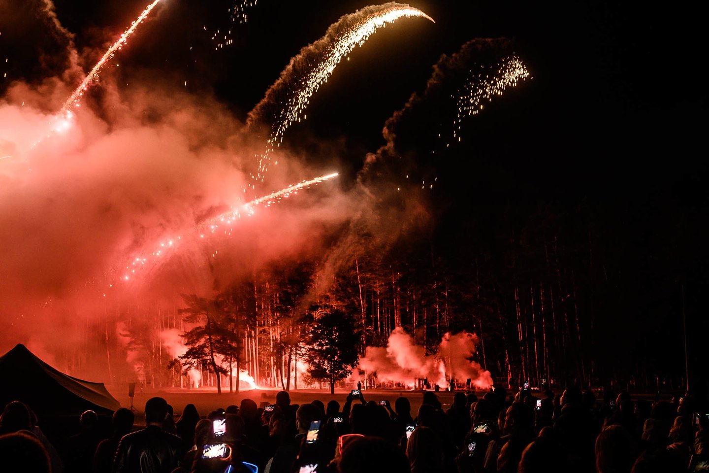 Vingio parke įvyko tradicinis tarptautinis fejerverkų festivalis „Vilniaus fejerija“.<br>V.Skaraičio nuotr.