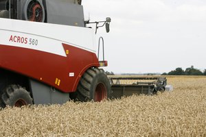 Pasibara, pasikalba, bet parduoda ir perka vieningai – konkurentams net pavydu