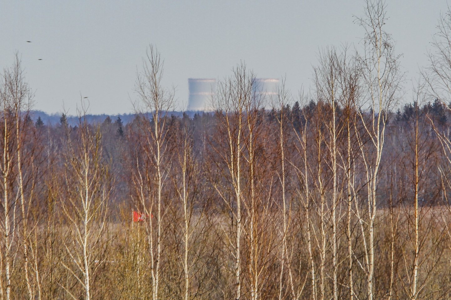 Astravo atomine elektrinė<br>V.Ščiavinsko nuotr.