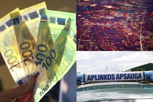 Aplinkosaugos pažeidėjai į valstybės biudžetą sumokėjo daugiau nei milijoną eurų