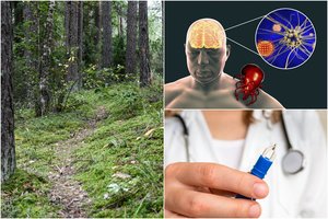 Į miškus patraukusiems grybautojams – rimtas įspėjimas: nuo erkinio encefalito mirė jau trečias žmogus