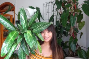 Lietuvoje apsigyvenusi filipinietė svajoja čia įkurti botanikos sodą