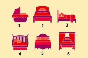 Kuri lova patogiausia? Tai įdomus faktas apie jus