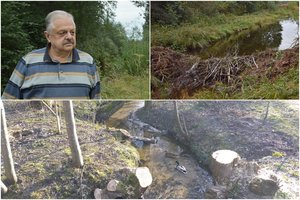 Gražioje vietoje įsikūrusiems vilniečiams galvosopį bando malšinti įvairios komisijos – tik perniek