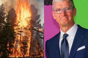 Po mirtinų stichinių nelaimių šalyje – JAV technologijų milžinės vadovo žinia žmonijai