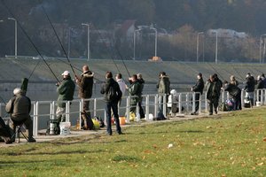 Vis daugiau jaunimo – bedarbiai: šuolį lėmė keletas priežasčių