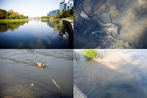 Ekologinė nelaimė Vilniuje: į Nerį plūdo fekalijos