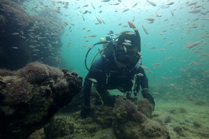 Sudužęs laivas slėpė itin tamsią praeitį