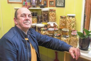 Grybų rekordininku tapęs aktorius pasakė, kokią klaidą daro nepatyrę grybautojai