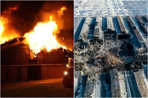 Alytaus gaisro byla perduota teismui: įmonės direktorius kaltę dėl nelaimės suvertė žiurkei