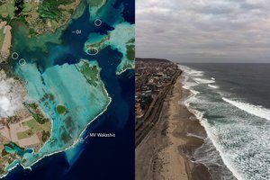 Vandenynus ištyrę mokslininkai pateikė siaubingą ataskaitą: pasekmes pajusime jau greitai